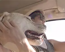 Budweiser dronken niet rijden commercial
