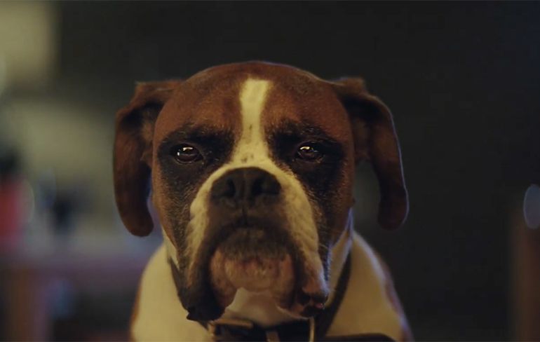 Buster de Boxer zorgt voor kerstgevoel in John Lewis kerst commercial 2016