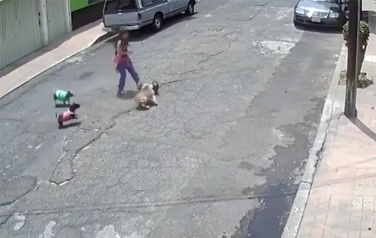 CCTV laat zien dat dame toch niet struikelende