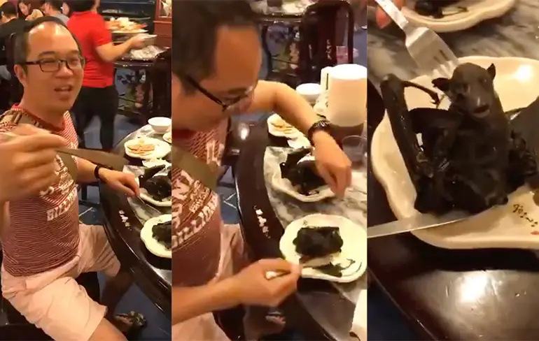 Chinees legt uit hoe je het beste een vleermuis kunt eten
