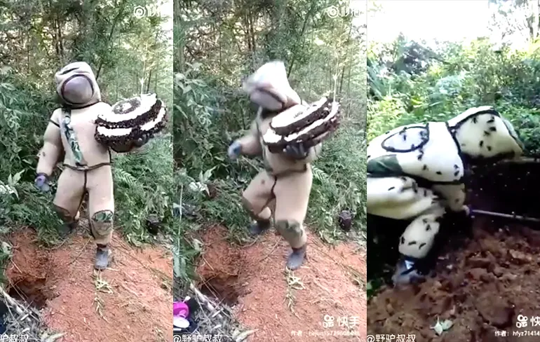 Chinees wint Darwin Award na rondzwaaien wespennest van Aziatische Terrorwerp