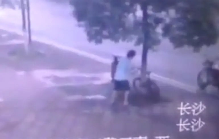Chinees zaagt boom om en jat fiets...