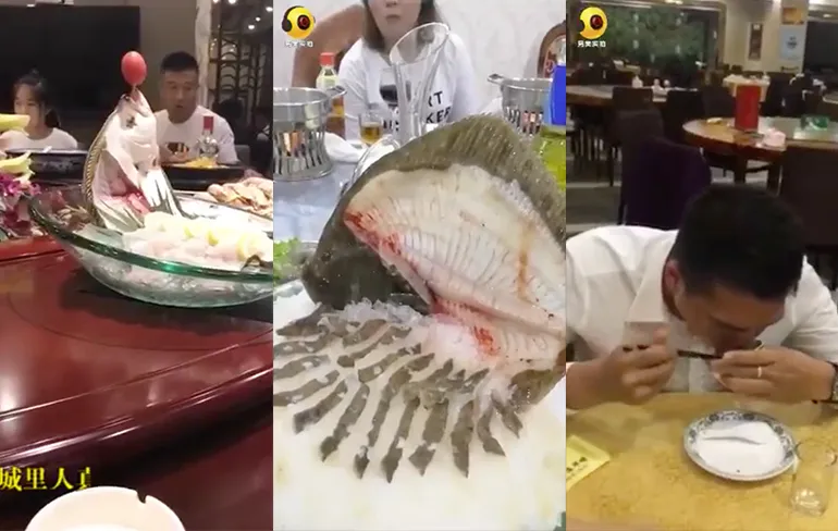 Chinezen houden echt van heel vers voedsel...