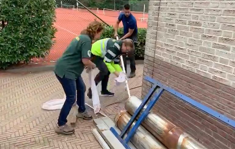 Cobra van 2,5 meter gevonden achter sportschool in Amersfoort
