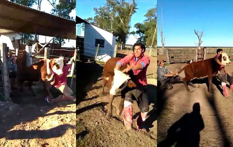 Cowboys moeten toch even extra hun best doen om vee te vloeren