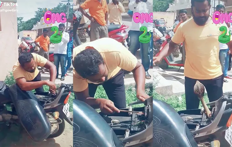 Cursus slangen bezweren in India is nooit weg