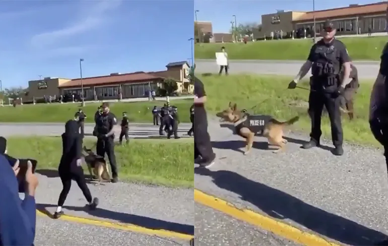 Daarom moet je als demonstrant nooit te dicht bij een politiehond gaan staan