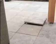 De bazigste bierbuis voor in de tuin!