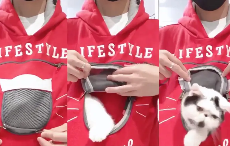De natte droom voor liefhebbers van katten: De Cat Pocket Hoodie