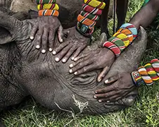 De winnaars van de World Press Photo 2014