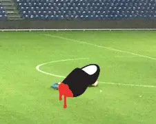 Deens koppel scoort toch na gelijkspelletje...