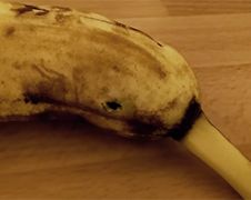 Dikke vette NOPE: Spin komt uit banaan gekropen!