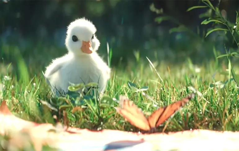 Disneyland Paris heeft feel good commercial met klein eendje in de hoofdrol