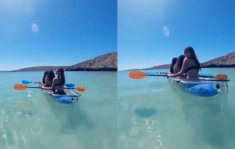 Dit is op zeker het beste gebruik van een onderwatercamera ooit