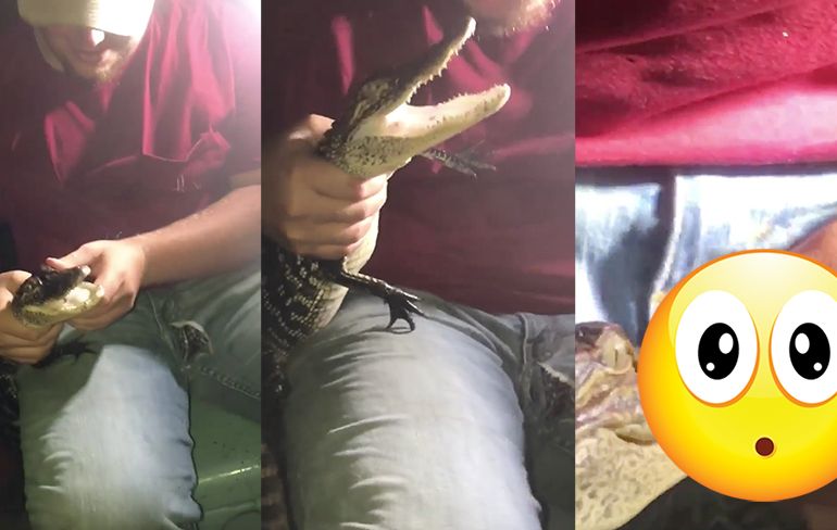 Do it for the Snap: Laat eens een alligator in je bal bijten
