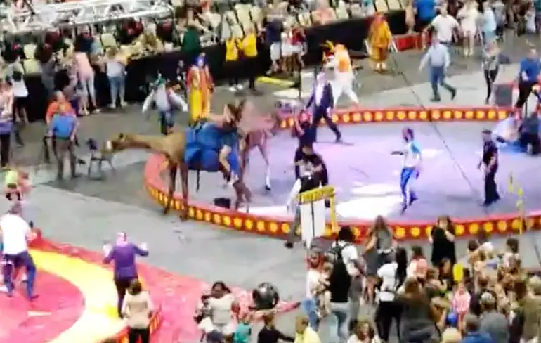 Dromedaris probeert er vandoor te gaan in circus in Pittsburgh