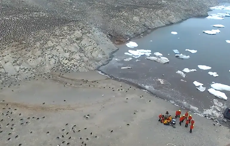 Drone beelden van verborgen superkolonie pinguïns op Antarctica