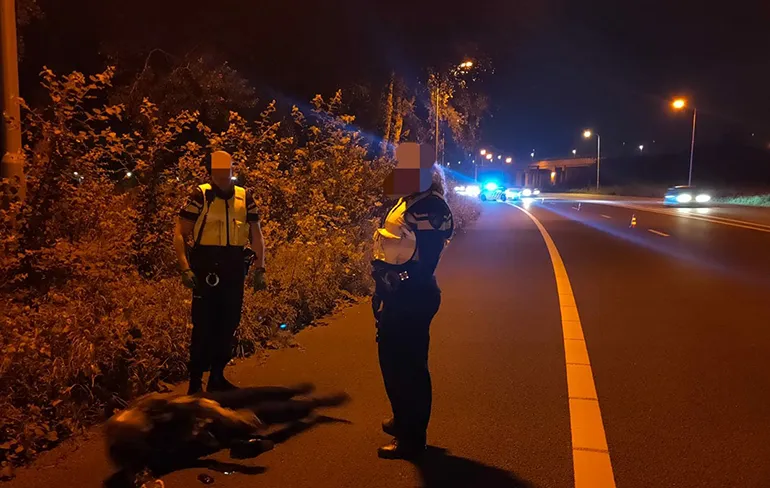 Dronken man slaapt roes uit op vluchtstrook van de A2