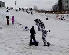 Dronken Rus krijgt er van langs van Marty de Zebra
