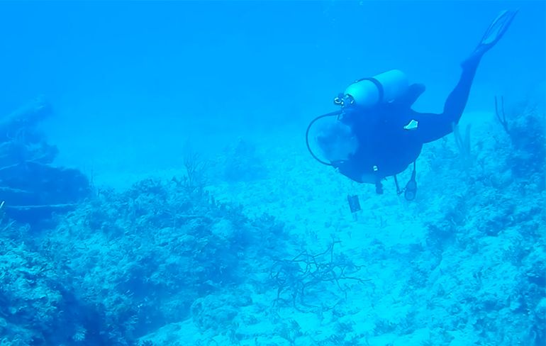 Duikers in de Bahama's horen actieve sonar van vermoedelijk een duikboot