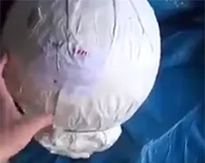 Duitsers steken illegaal vuurwerkje af