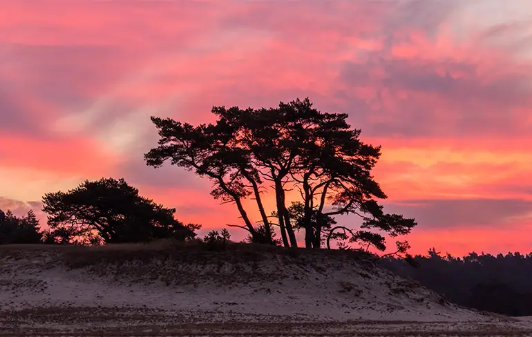 Dutch Seasons: Enorme mooie timelapse video van Nederlandse fotograaf