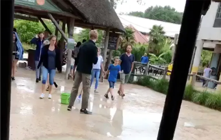 Dweilen met de kraan open in safaripark de Beekse Bergen