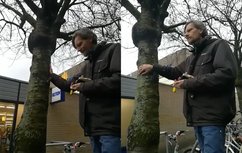 Een echte boomknuffelaar in gesprek met een boom