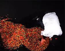 Een gemiddeld mensenleven in Jelly Beans