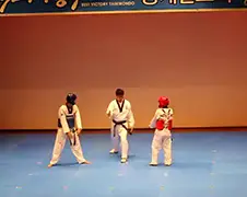 Een iets andere Taekwondo partij