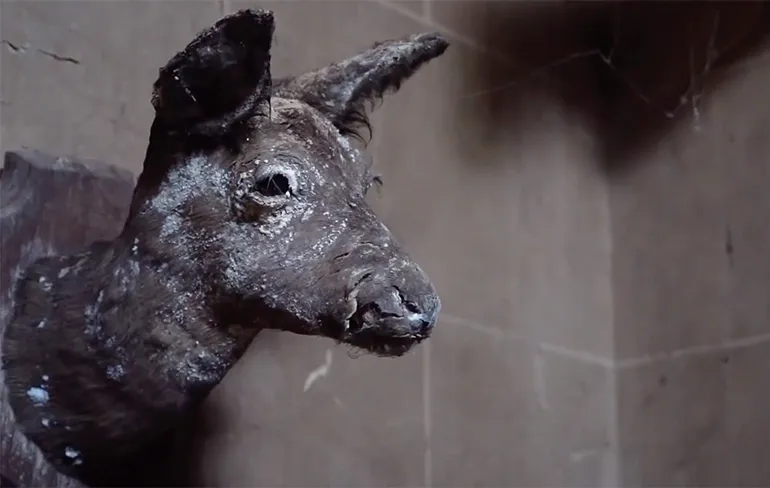 Een kijkje in een verlaten sprookjeskasteel wat weg staat te rotten