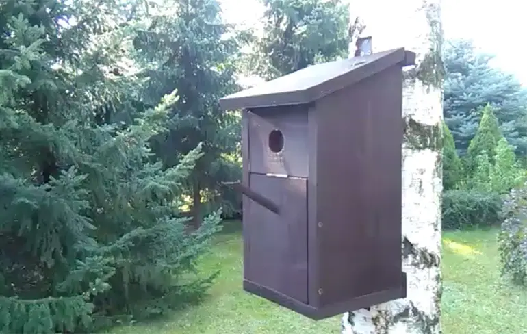 Een mooi vogelhuisje voor vaderdag