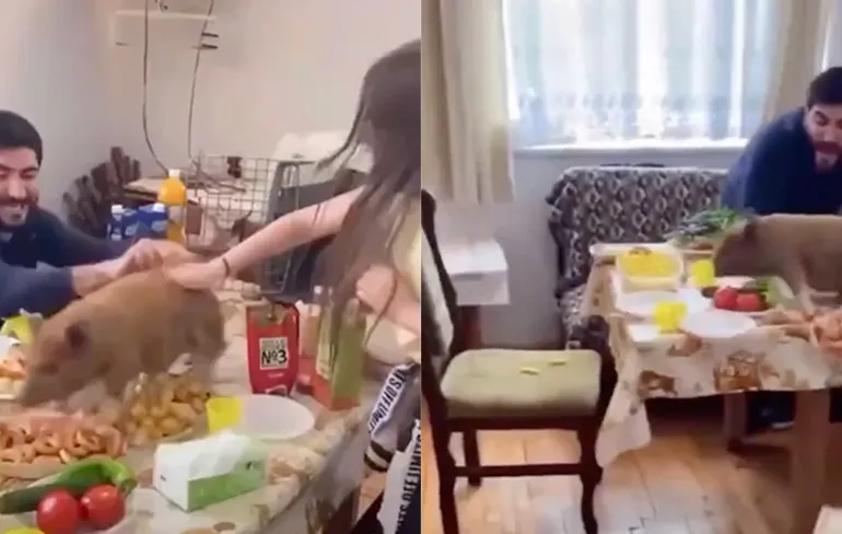 Eh, dat hadden we misschien toch even iets langer moeten koken