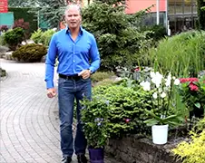 Enorme slechte Dries Roelvink Commercial