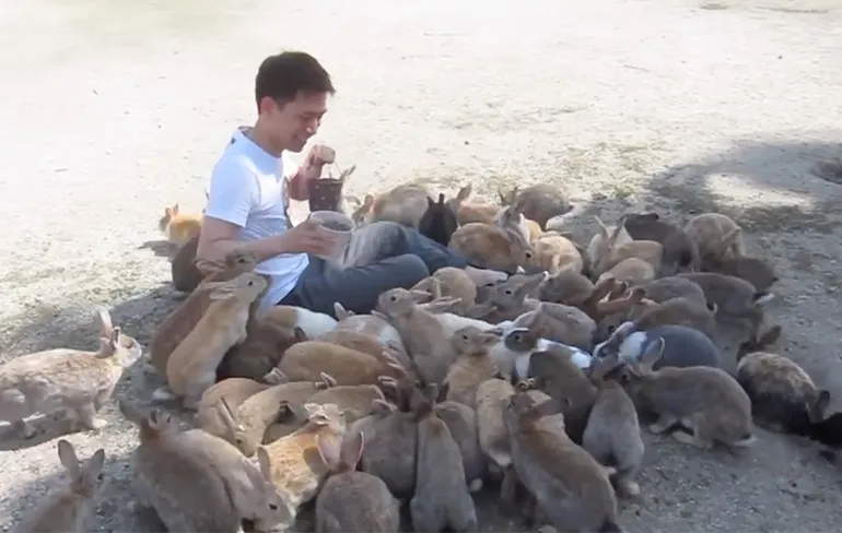 Er is dus een eiland in Japan waar konijnen de baas zijn