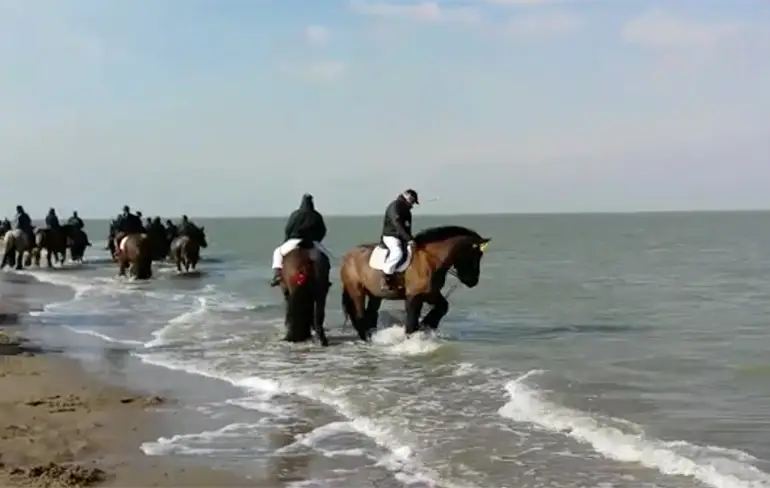 Even een nat pak halen met je paardje!