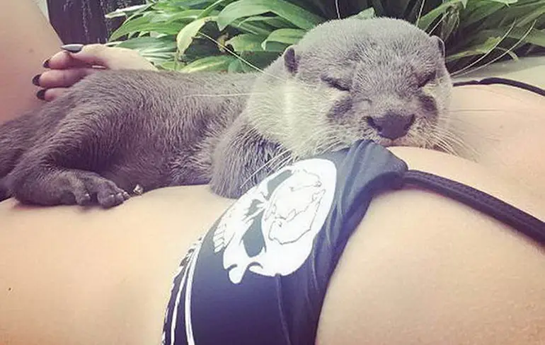 Gewoon een verzameling hilarische foto's #1192