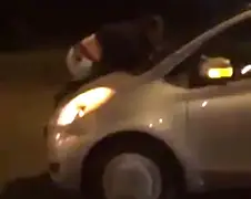 Gast heeft echt moeilijke tijd op motorkap