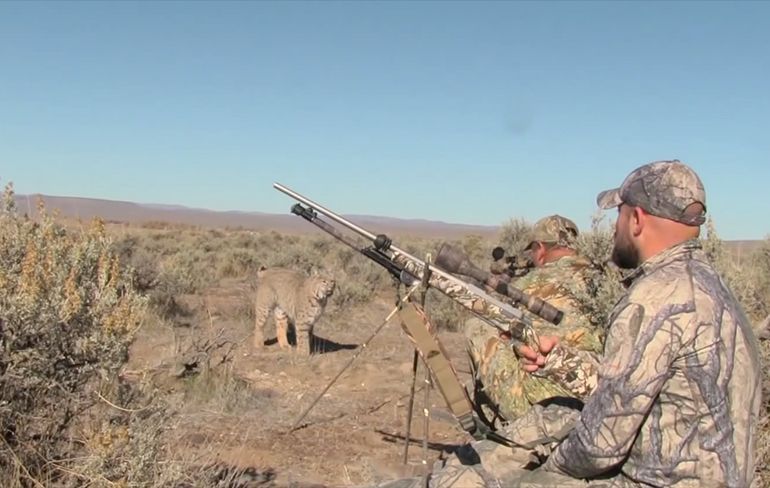 Gecamoufleerde jagers hebben momentje met een Rode lynx