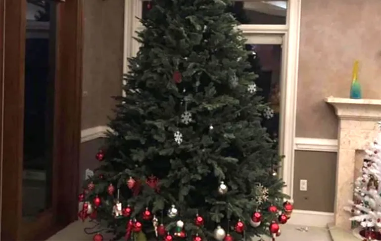 Geniale reactie van Roel van Velzen op virale kerstboom foto