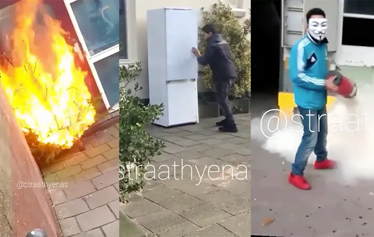 Gewoon een gezellige Straathyenas galore compilatie video!