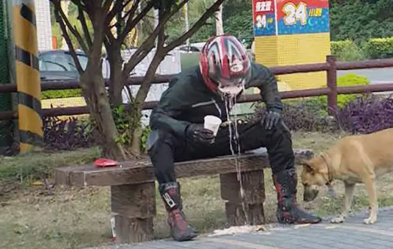 Gewoon een verzameling hilarische foto's #1114