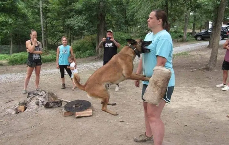 Gewoon een verzameling hilarische foto's #1169