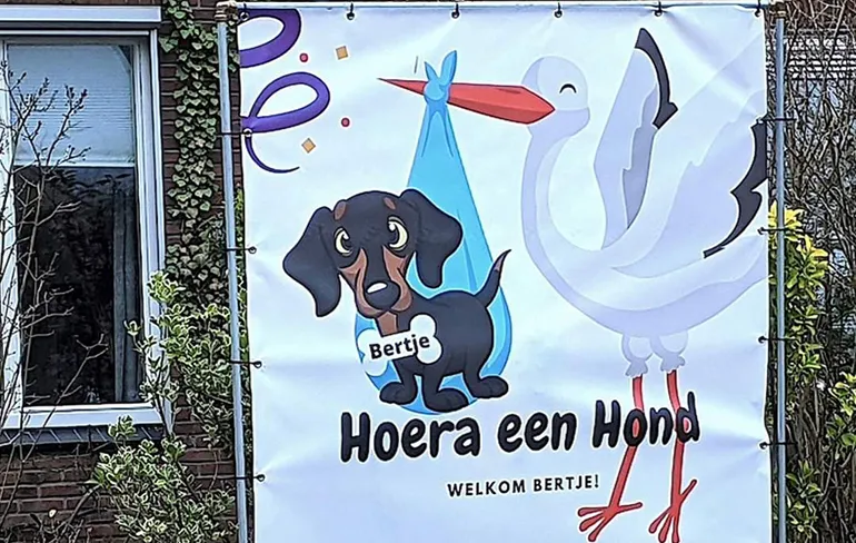 Gewoon een verzameling hilarische foto's #1406
