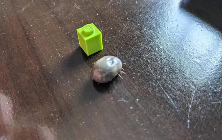 Gewoon een verzameling hilarische foto's #1436