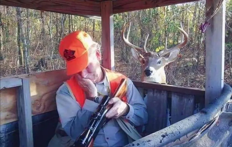 Gewoon een verzameling hilarische foto's #1438