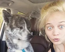 Gewoon een verzameling hilarische foto's #325