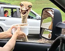 Gewoon een verzameling hilarische foto's #424