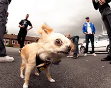 Gewoon een verzameling hilarische foto's #454