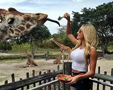 Gewoon een verzameling hilarische foto's #513